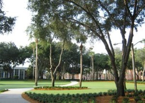 campus